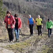 Winterwanderung entlang der großen und kleinen Rodl