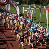 Donaulauf Ottensheim am 30.09.2017