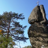 Das Pesenbachtal präsentiert sich heuer von seiner schönsten Seite………