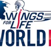 Wings for Life World Run 3.5.2015